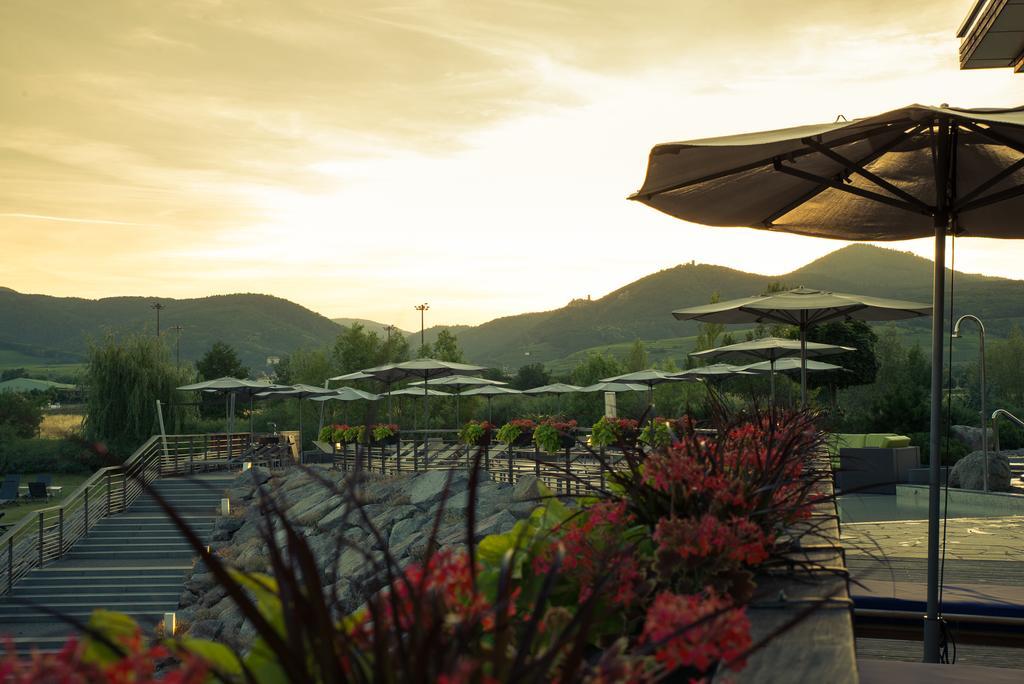 Hotel Barriere Ribeauville Εξωτερικό φωτογραφία