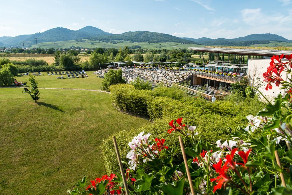 Hotel Barriere Ribeauville Εξωτερικό φωτογραφία